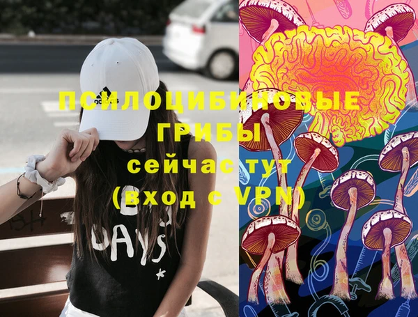 кокс Аркадак