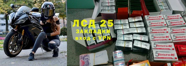 кокс Аркадак