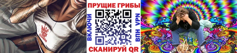 цены   Светлоград  Псилоцибиновые грибы Psilocybine cubensis 